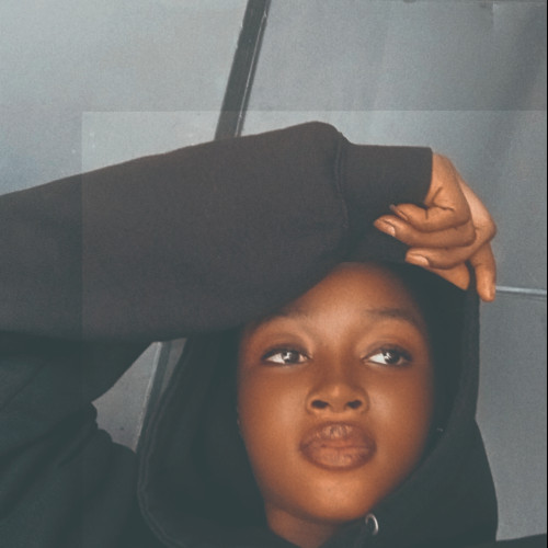 Nwaiwu  S. profile photo