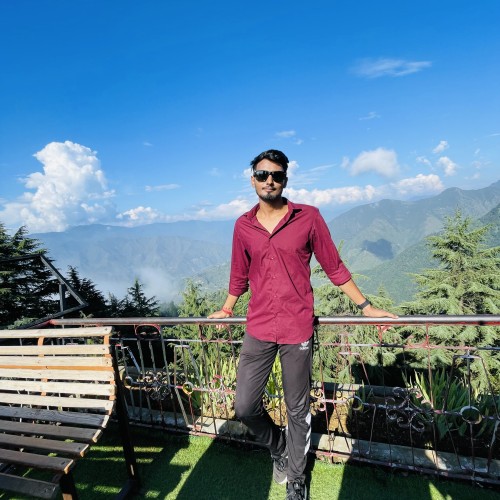 Yogesh K.