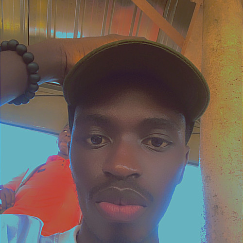 Adedeji  H.