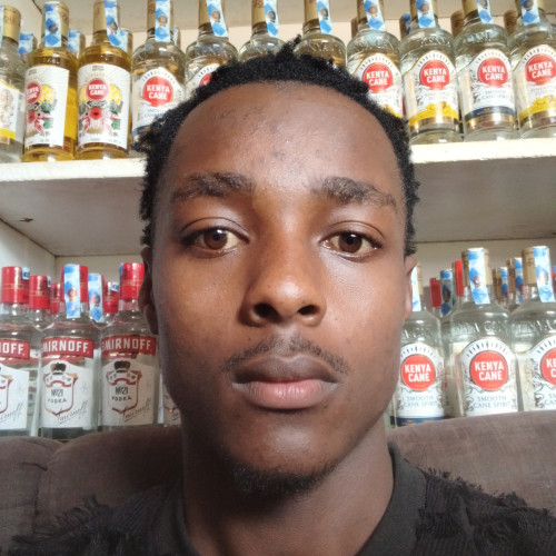Stano  N. profile photo