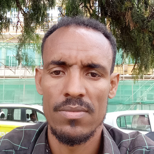 Tekleweyni B. profile photo