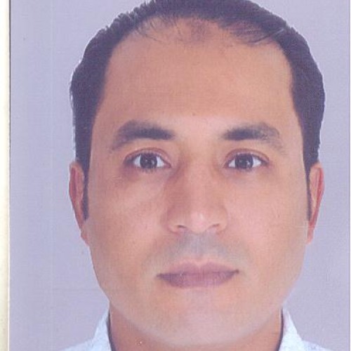 Adi F. profile photo