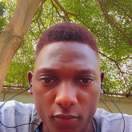 david y. profile photo