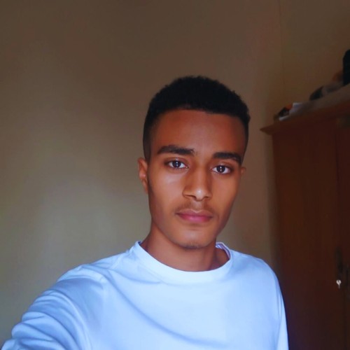 Robel Z.