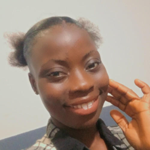 Sikiru  T. profile photo