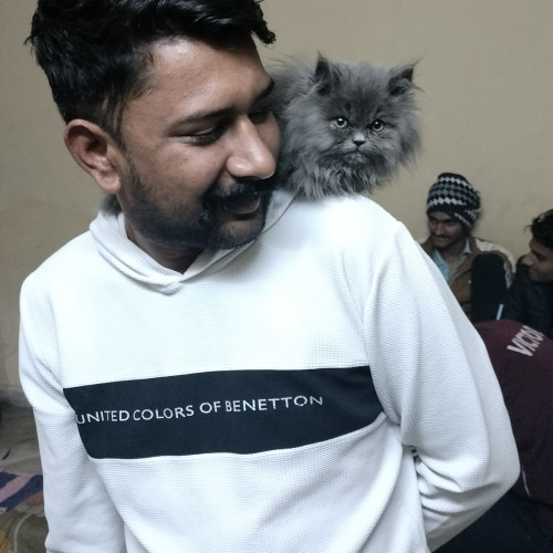 Aman S. profile photo