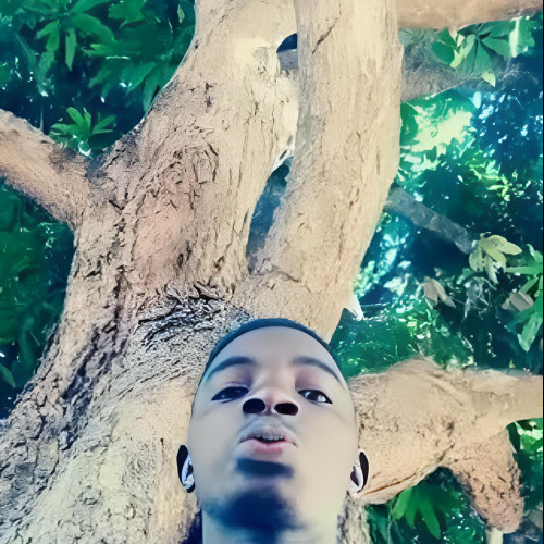 Theo P. profile photo