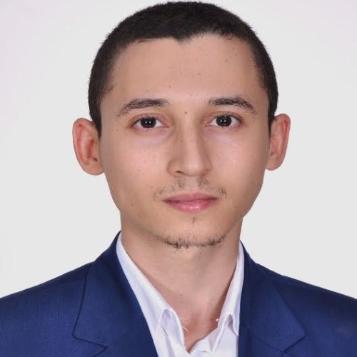 nizar n.