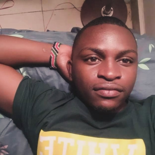 Alex  N. profile photo