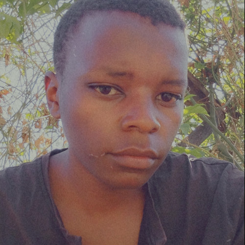 Lewis m. profile photo