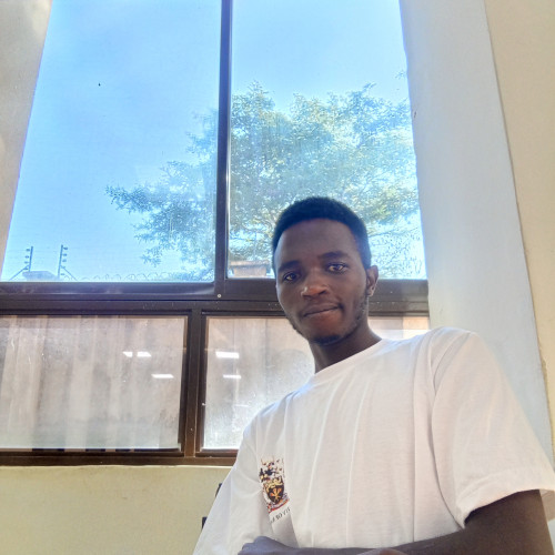 Dominic N. profile photo