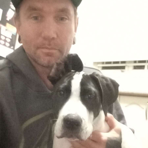 Nick C. profile photo