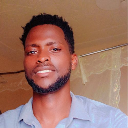 David K. profile photo