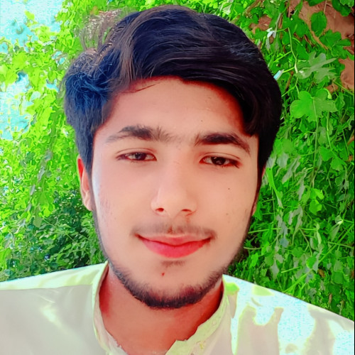 Jawad A.