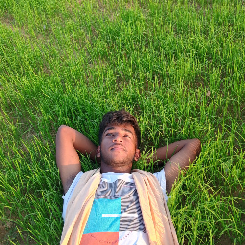 Raj M. profile photo