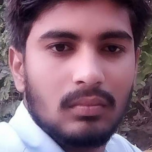 Muhammad A. profile photo