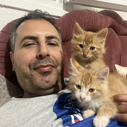 Abdel  H.