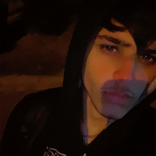 Anmol M. profile photo