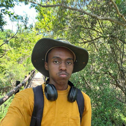 Alindwe  T. profile photo