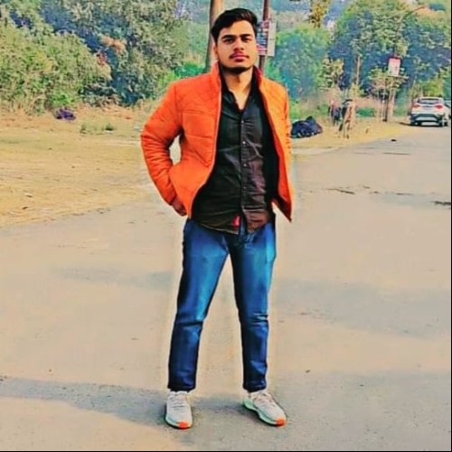 Ujjwal S.