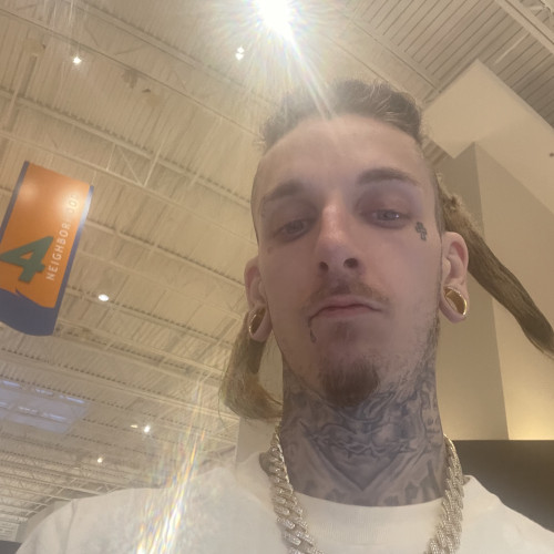 Nick P. profile photo