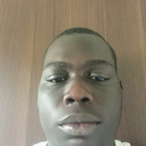 David D. profile photo