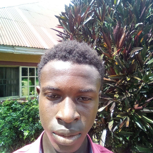 NICHOLAS U. profile photo