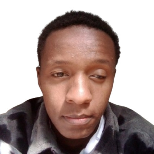 peter n. profile photo