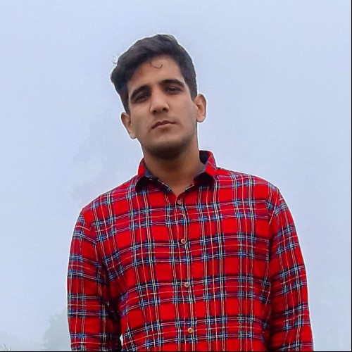 Hozyfa B. N.