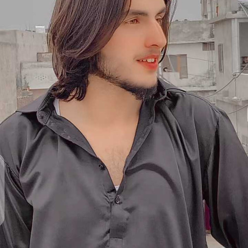 Hamza M. profile photo