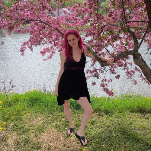 lily r. profile photo