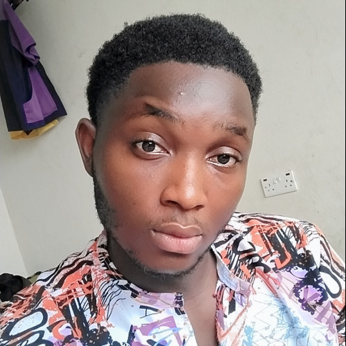 Chimereze O. profile photo