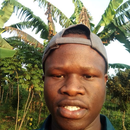 Abel A. profile photo