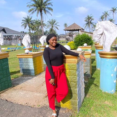 olayiwola i. profile photo