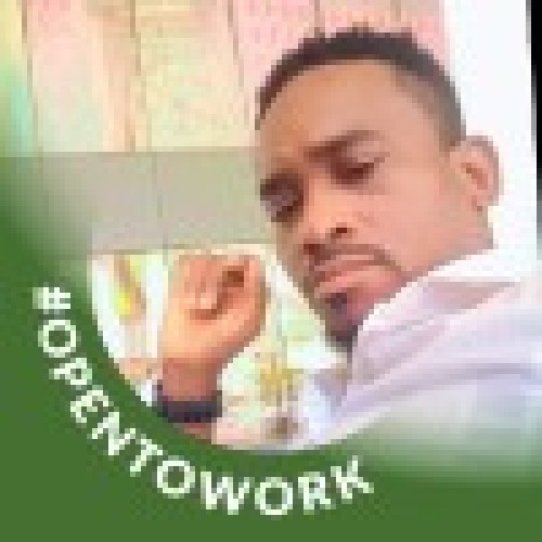 Martin T. profile photo