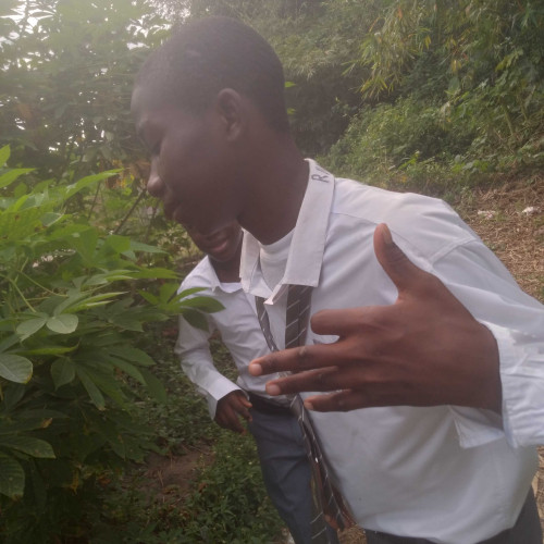 victor M. profile photo