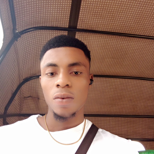 Chinonso  D. profile photo