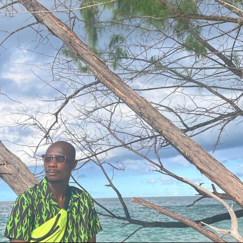 Bamidele A. profile photo