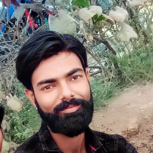 Dheeraj  P.