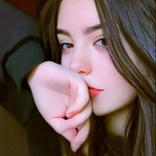 Shazil  K. profile photo