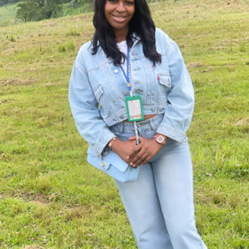 Adesokan O.