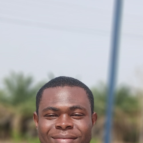 Ali  M. profile photo