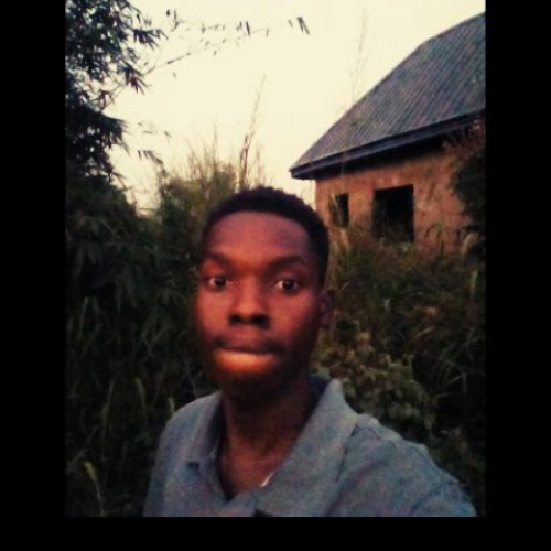 Nasho C. profile photo