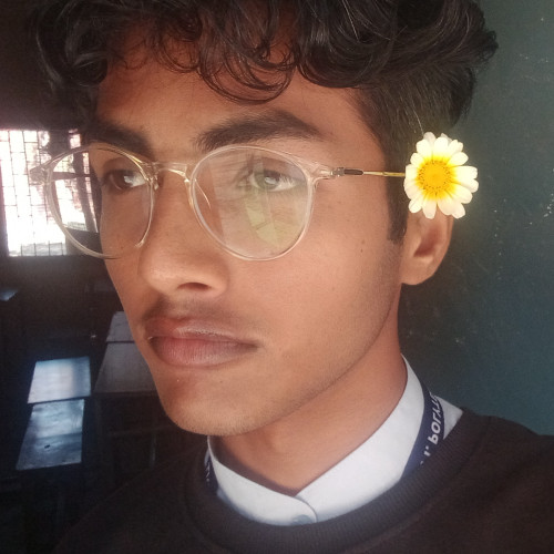Rohit S.