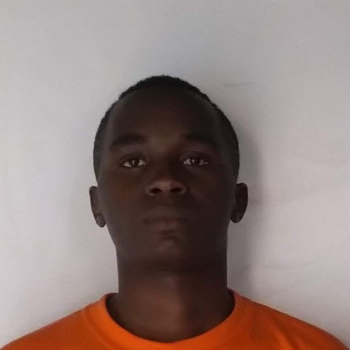 Alex N. profile photo