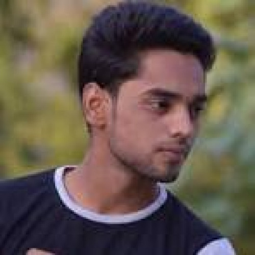 Amine p. profile photo
