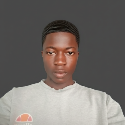Olayinka J. profile photo