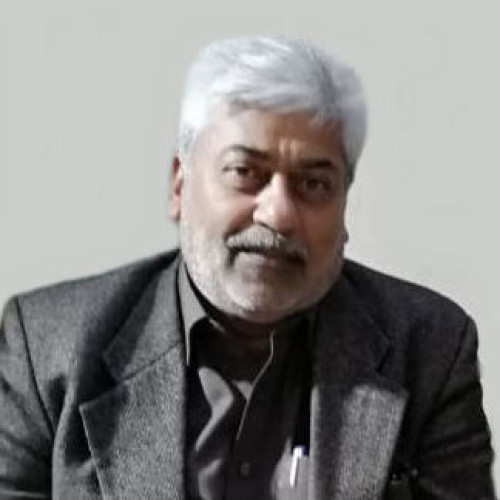 Shafique M.