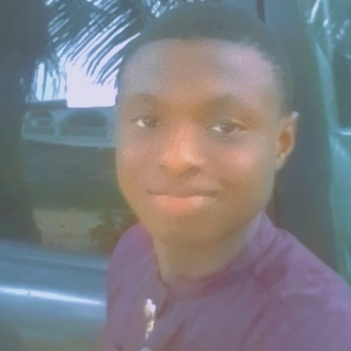 Somtochukwu J. profile photo