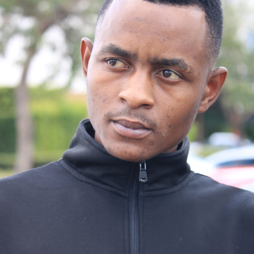 Kamo N. profile photo